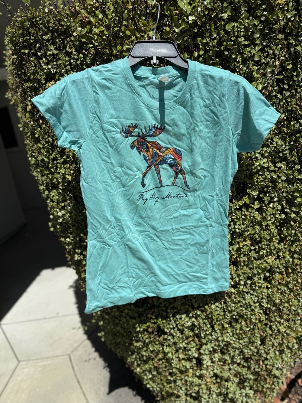Big Sky, Montana Moose Graphic Tee - Picture 2 of 5